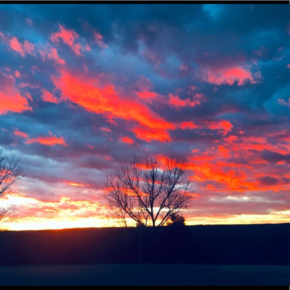 Meet your Posher, Whitney - Picture 11 of 13